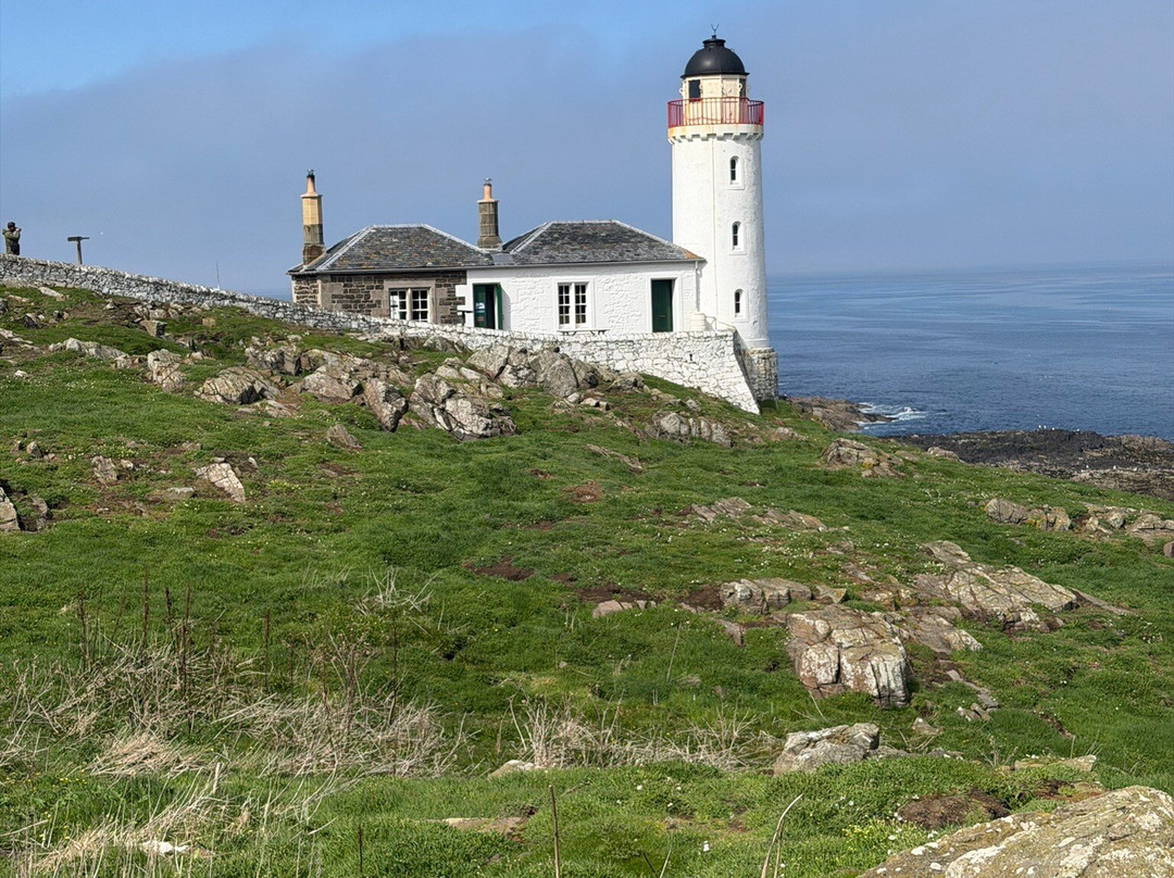 Scottish Seabird Centre-北柏威克必去景点