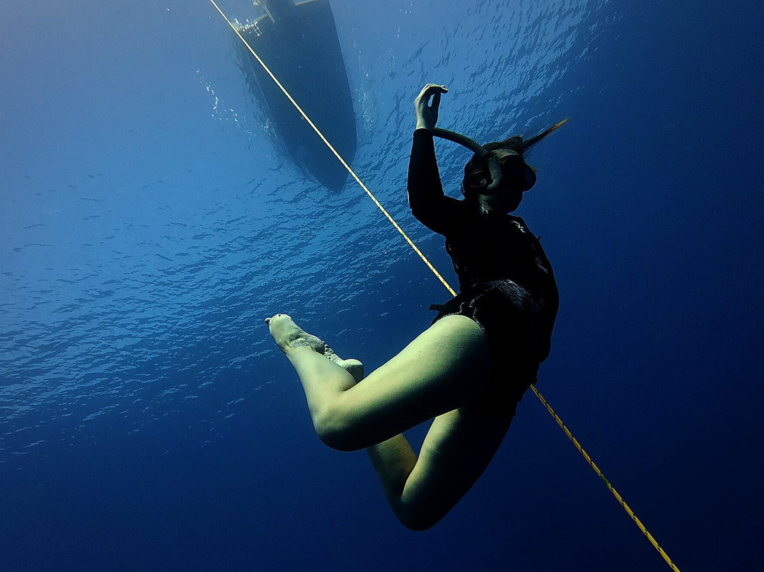 ALL BLUE NC –Freediving and spearfishing