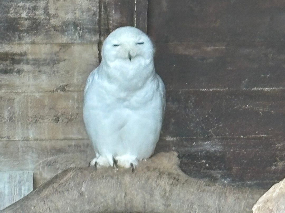 Wildwood Devon-Ottery St. Mary必去景点