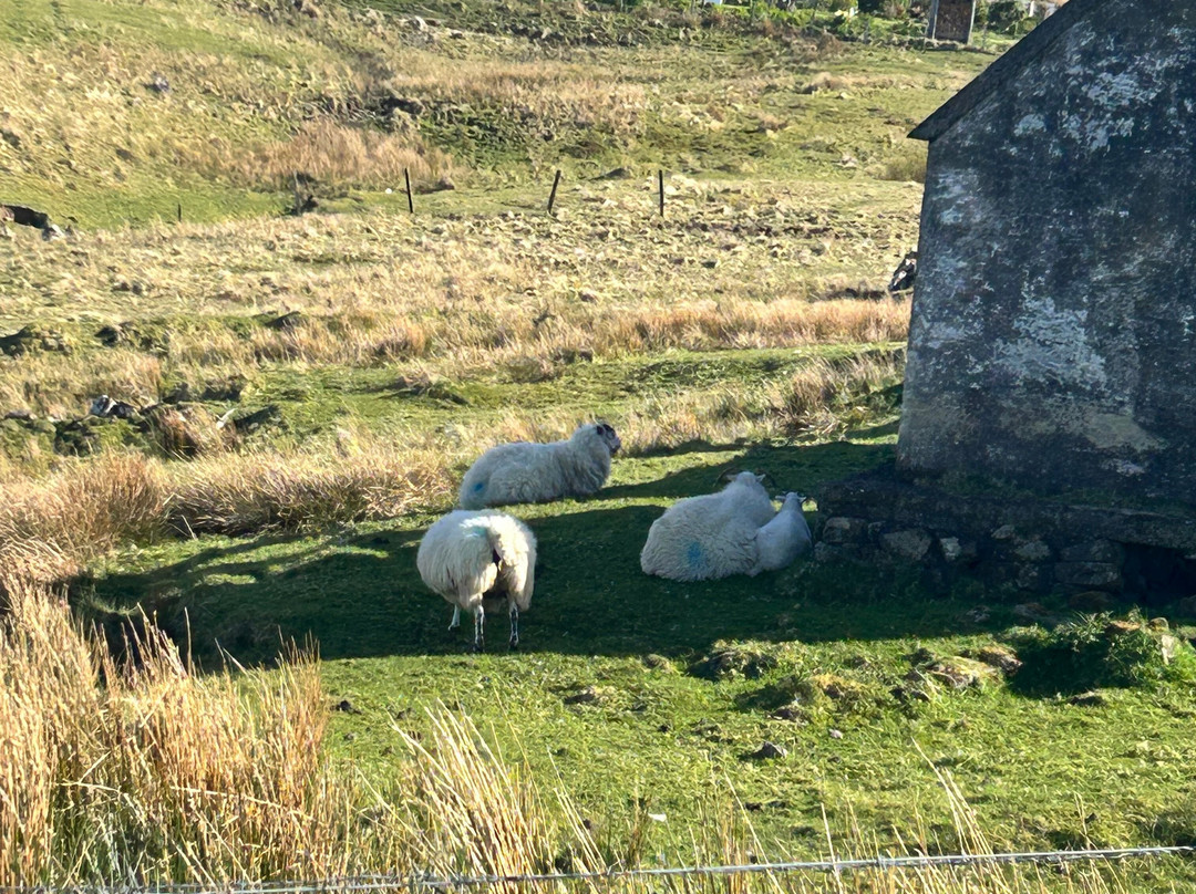 Gift Shop sheepskins skye-Glendale必去景点