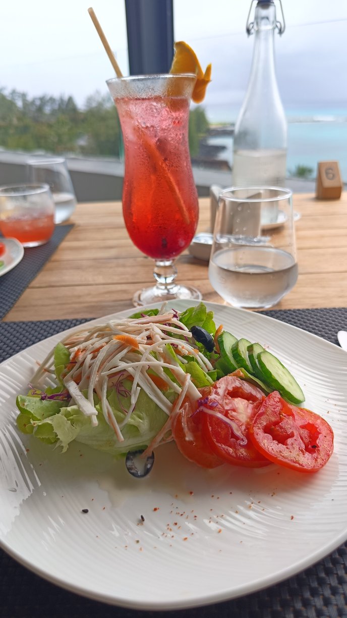 海洋V酒店-毛里求斯-旅行者