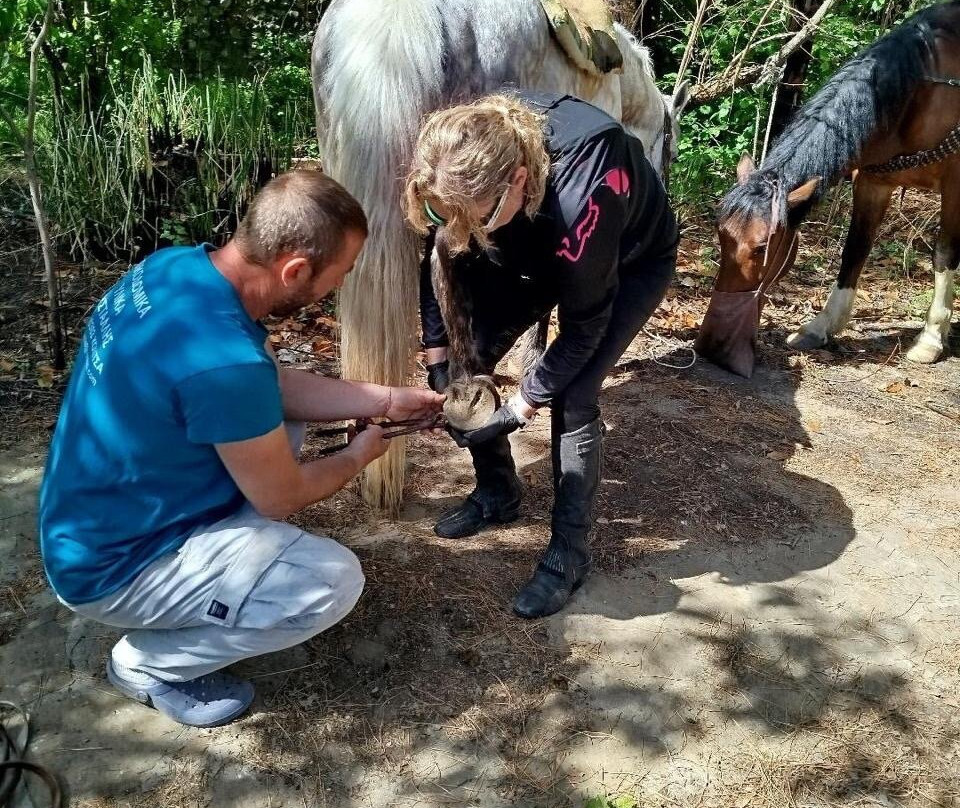 Horse Riding Albania