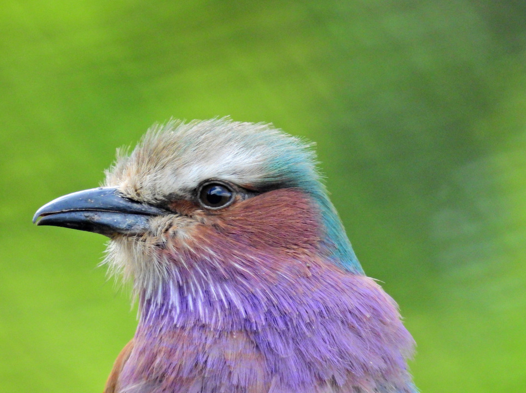 Lakeland Wildlife Oasis-Milnthorpe必去景点