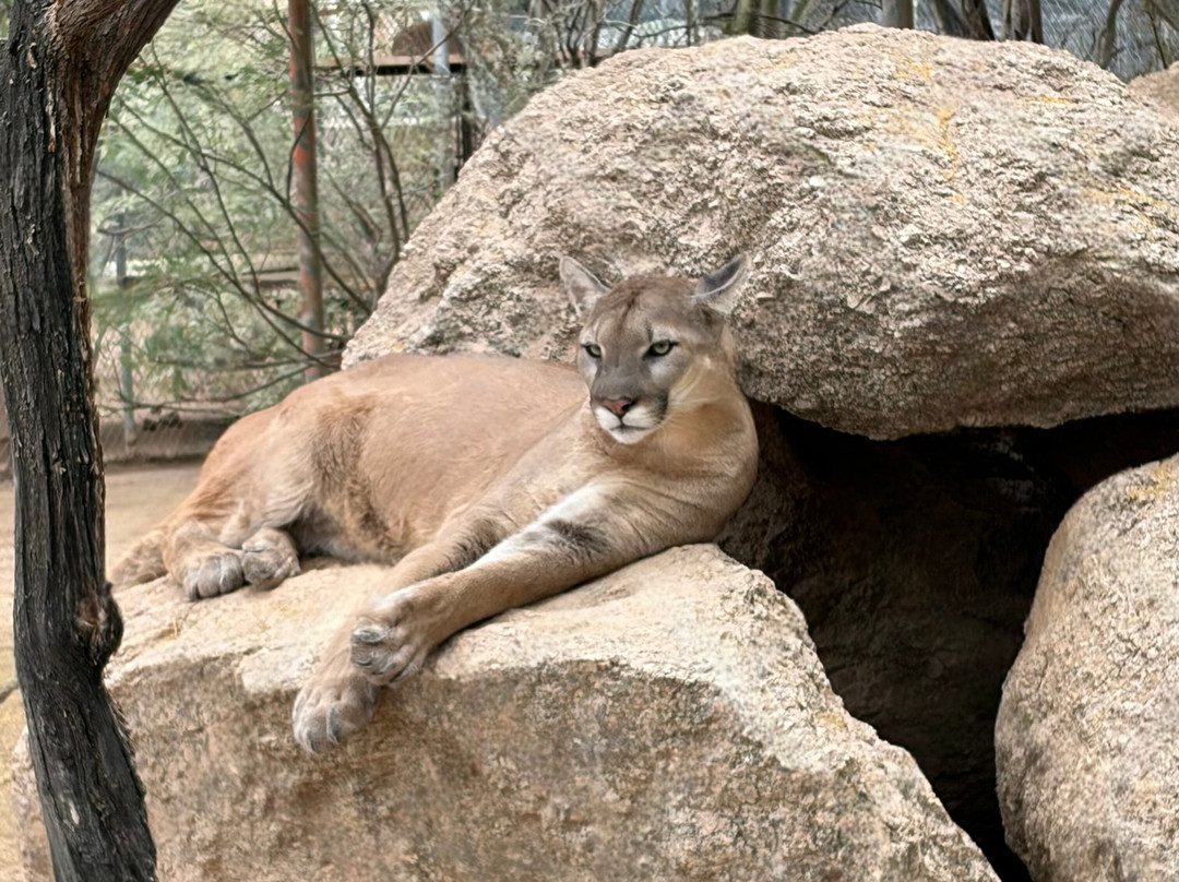 Southwest Wildlife Conservation Center-斯科茨代尔必去景点