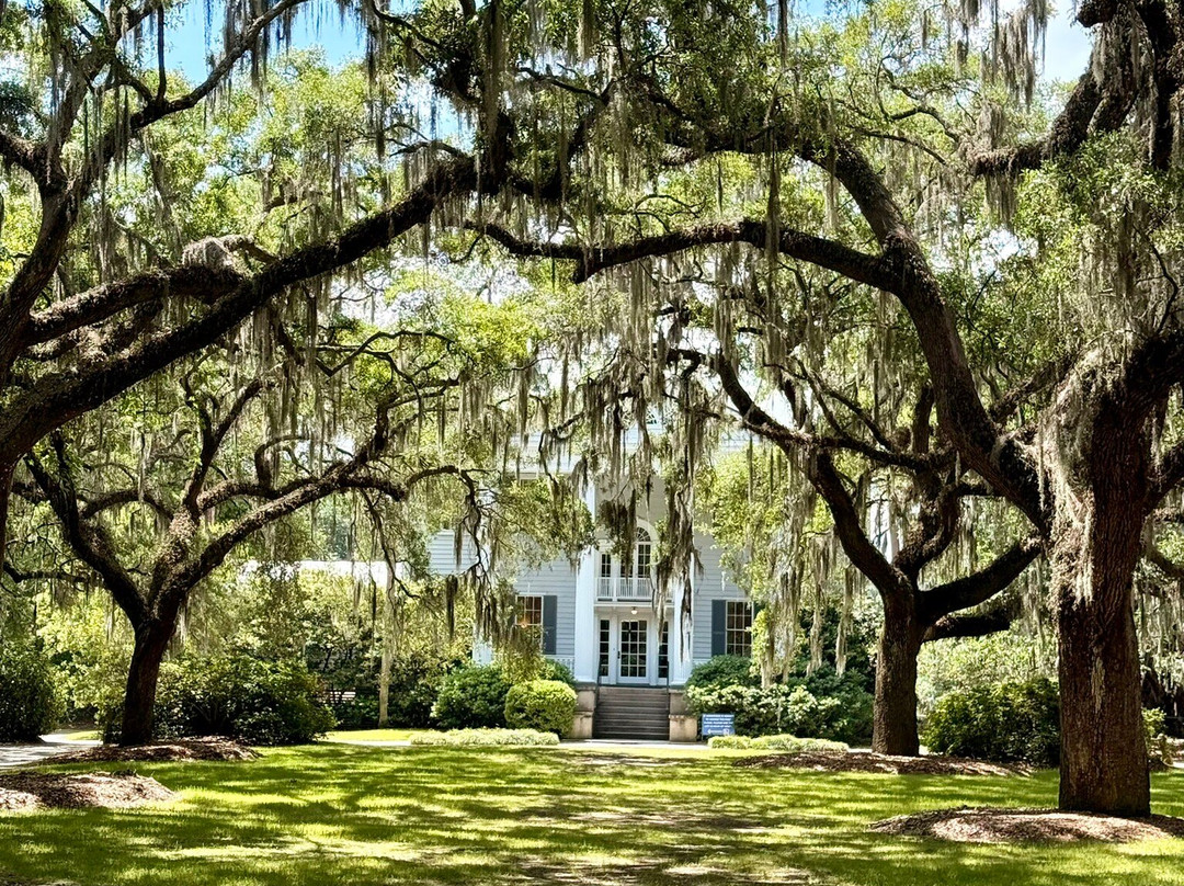 McLeod Plantation Historic Site-查尔斯顿必去景点