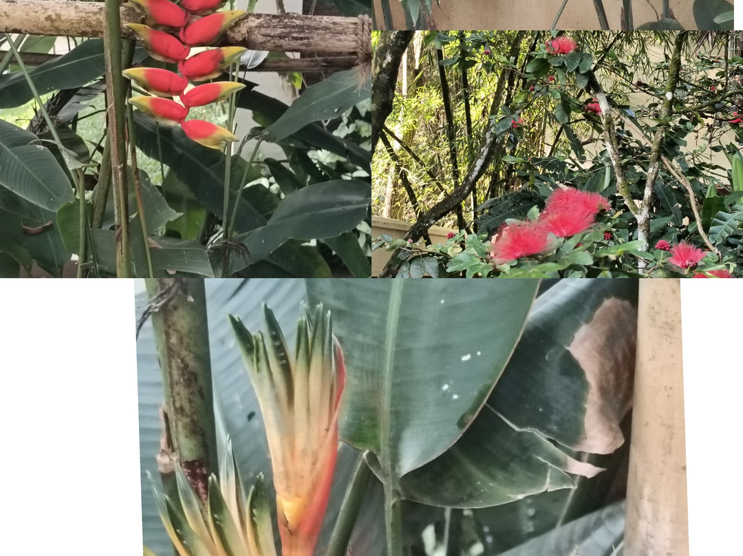 帖卡迪格林伍兹度假村主图