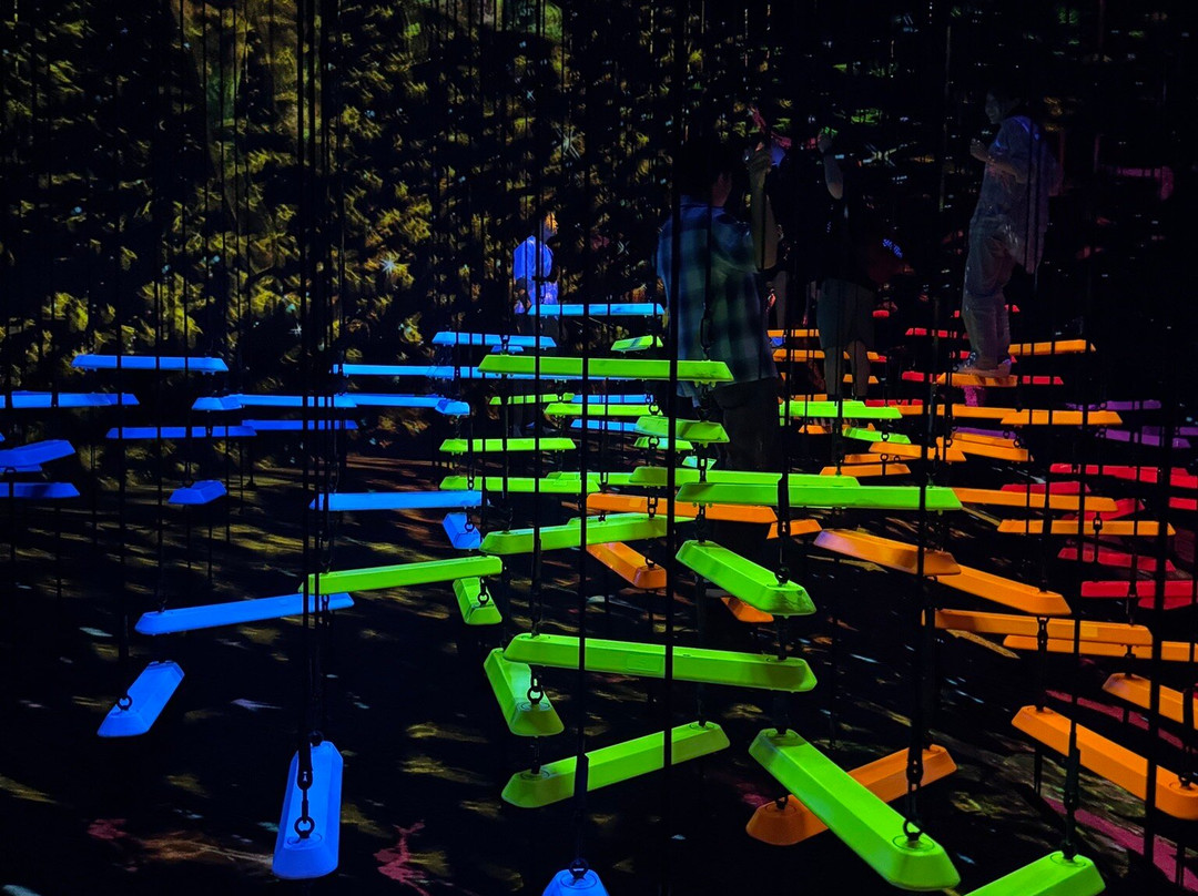 teamLab Planets TOKYO-Toyosu必去景点