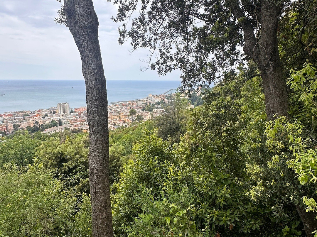 Villa Durazzo Pallavicini-热那亚必去景点