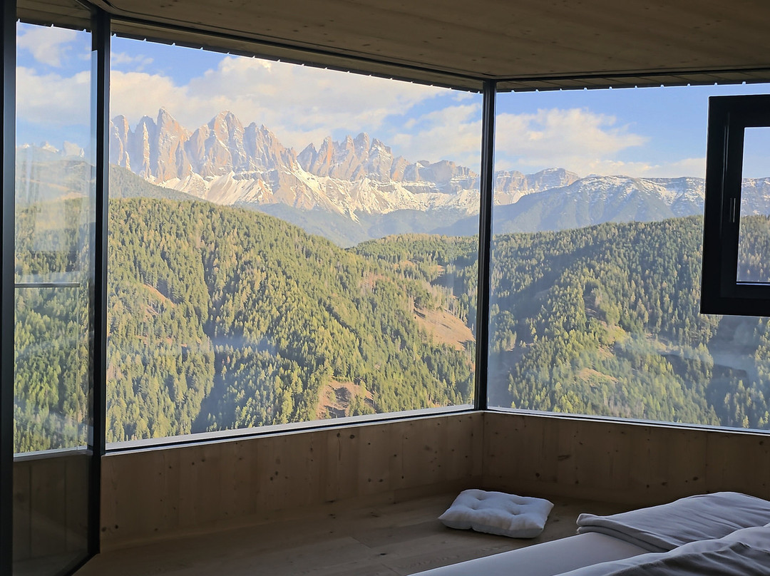 福雷斯蒂斯酒店Forestis Dolomites（意大利）主图