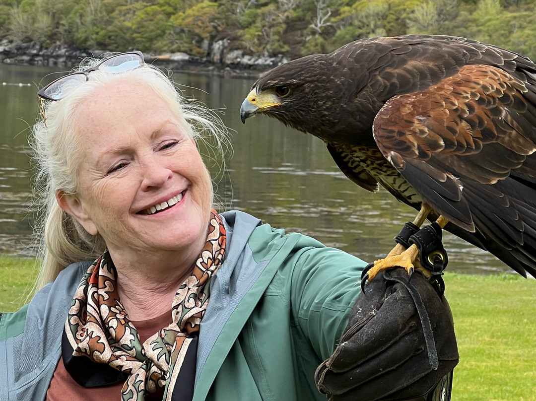 Shieldaig Falconry-盖尔洛赫必去景点