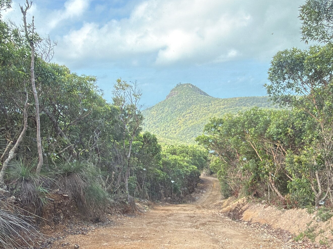 Hamilton Island Offroad Adventures-汉密尔顿岛必去景点