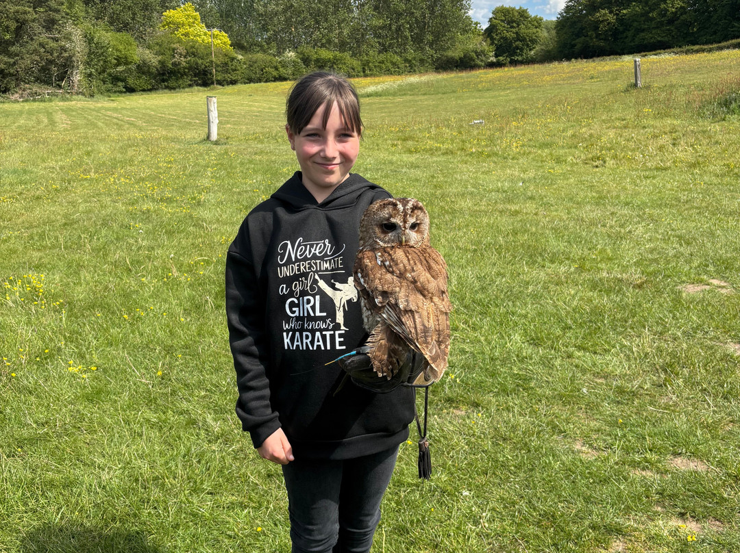 Lavenham Falconry-Monks Eleigh必去景点