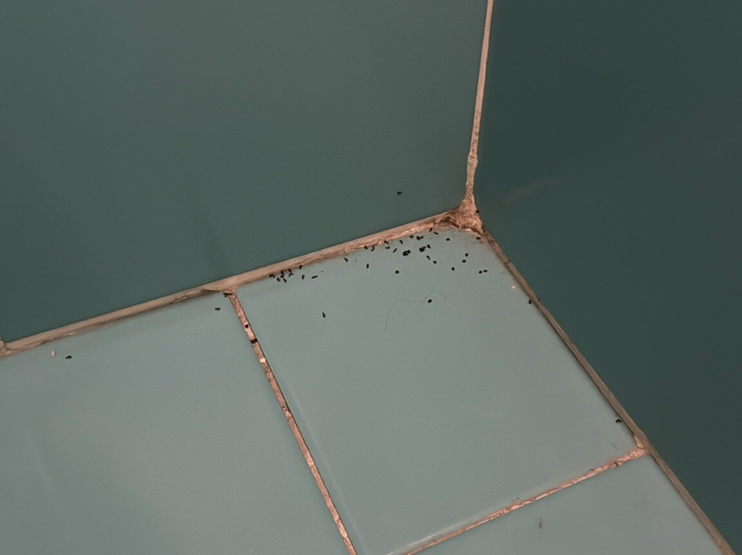 Hotel Ali sul Lago主图