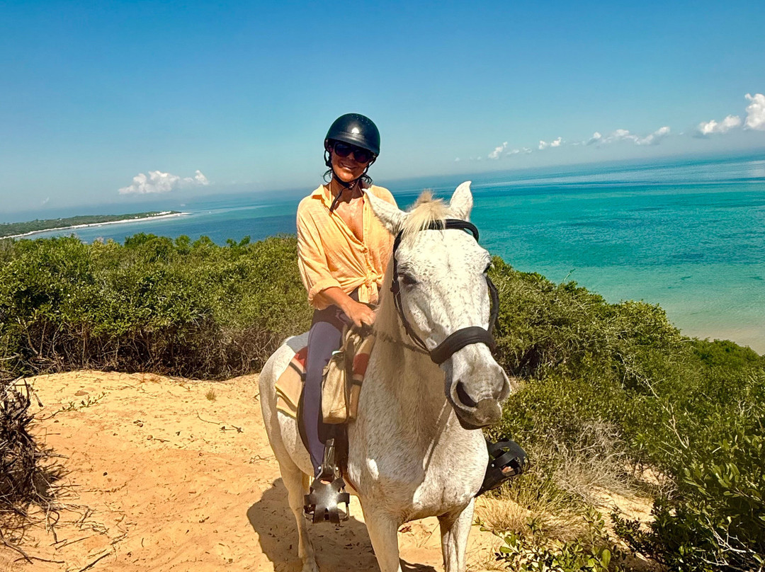 Mozambique Horse Safari-Vilanculos必去景点