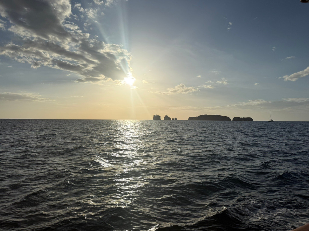 Mr Pelicano Boat Tours-Playa Flamingo必去景点