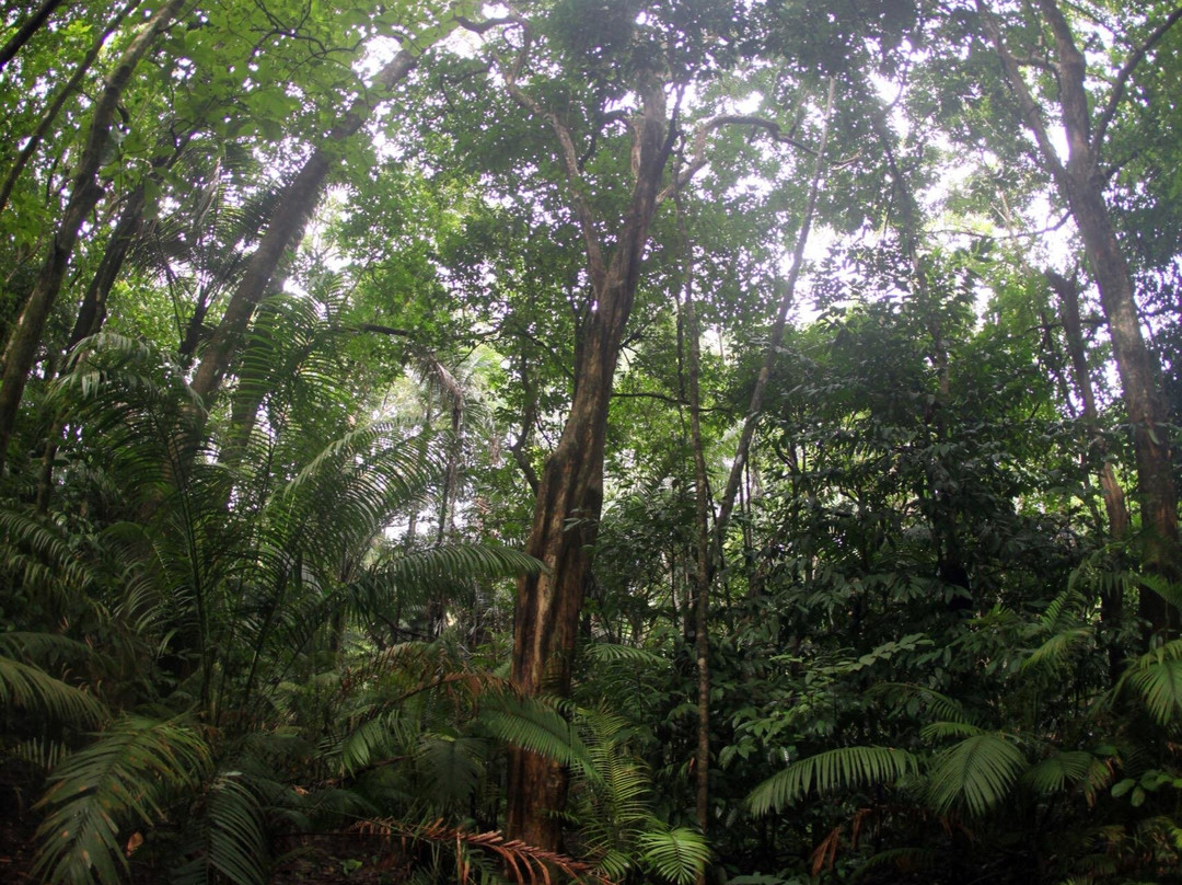 Ujung Kulon Trek-Carita必去景点