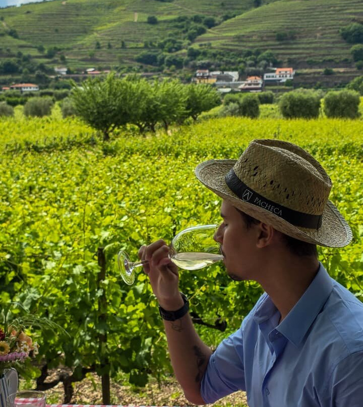 Quinta da Pacheca-Lamego必去景点