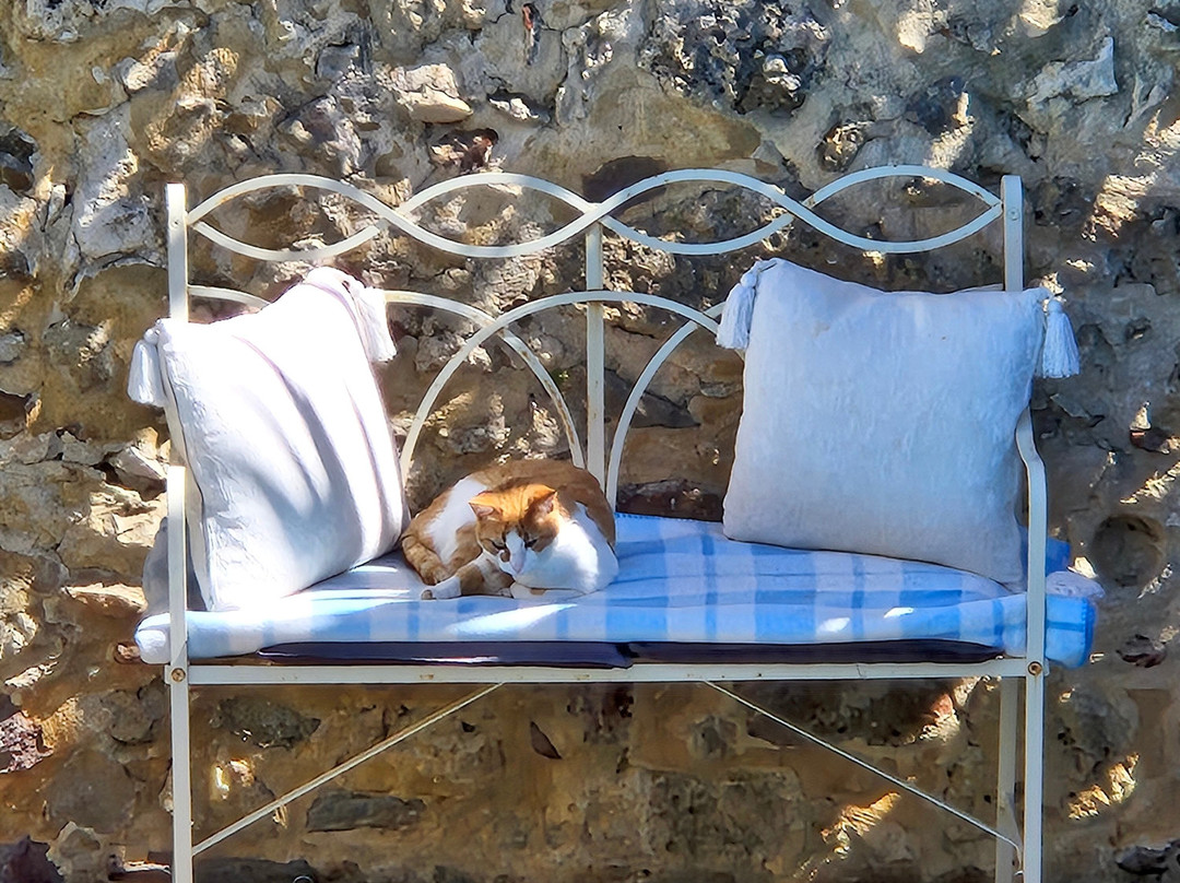 Old Olive Mill Maroulas - Bed and Breakfast主图