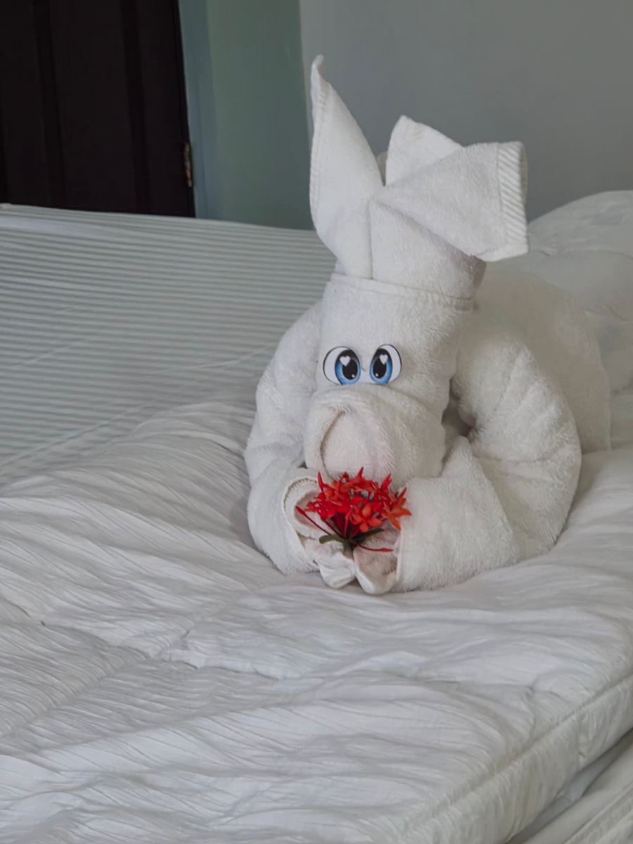 Paradise Bay Hotel Boutique-旅行者