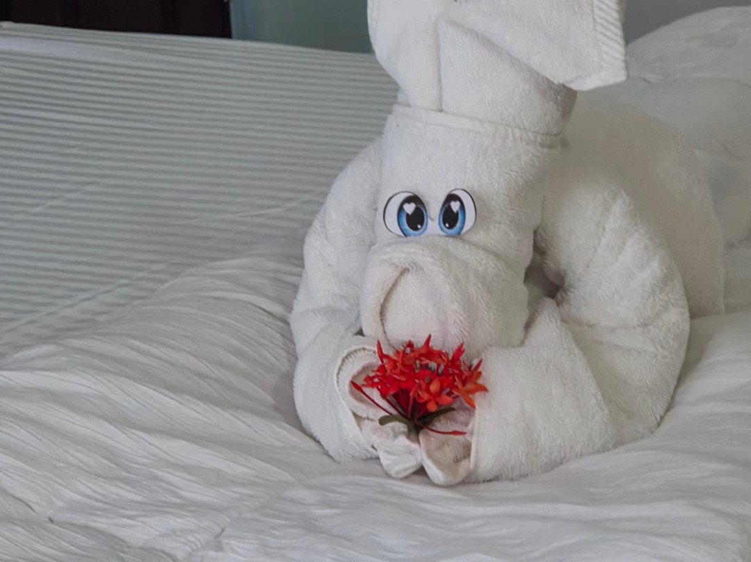 Paradise Bay Hotel Boutique主图