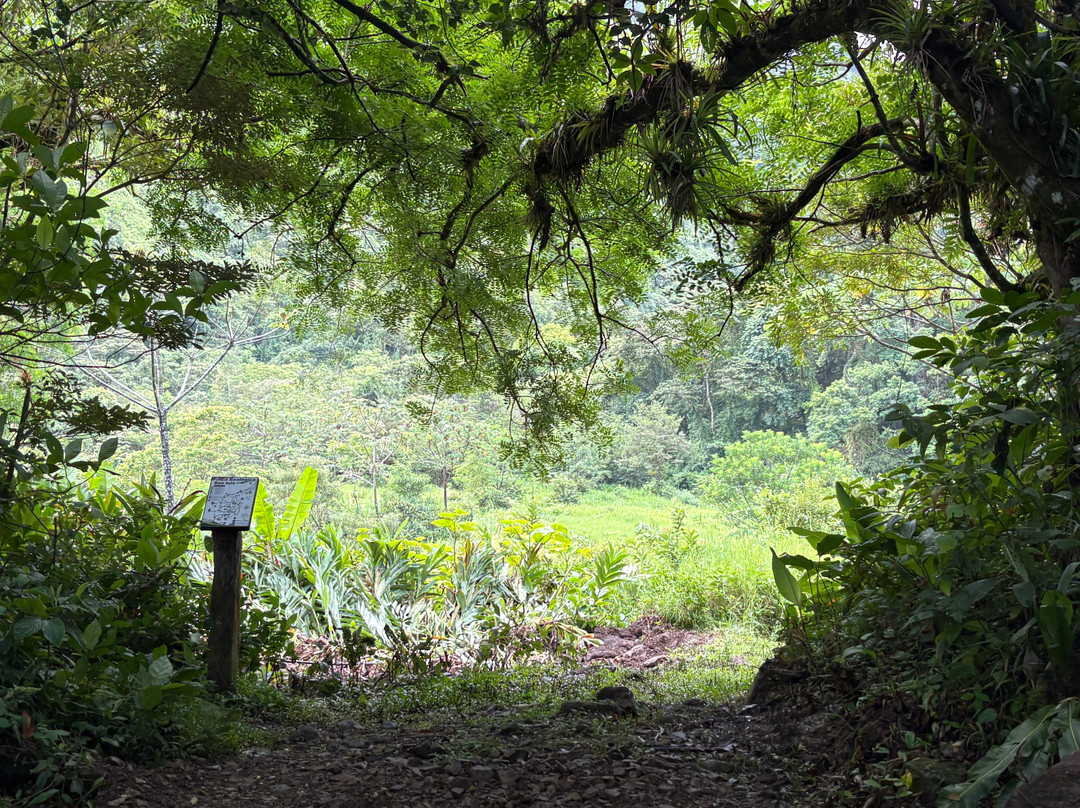 Finca Ecologica San Luis-蒙特沃德必去景点