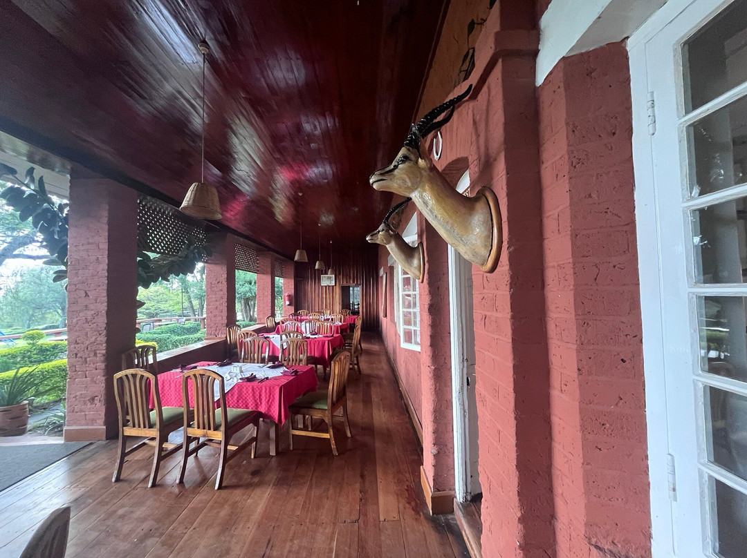 兰花楹湖艾丽门泰塔旅馆主图