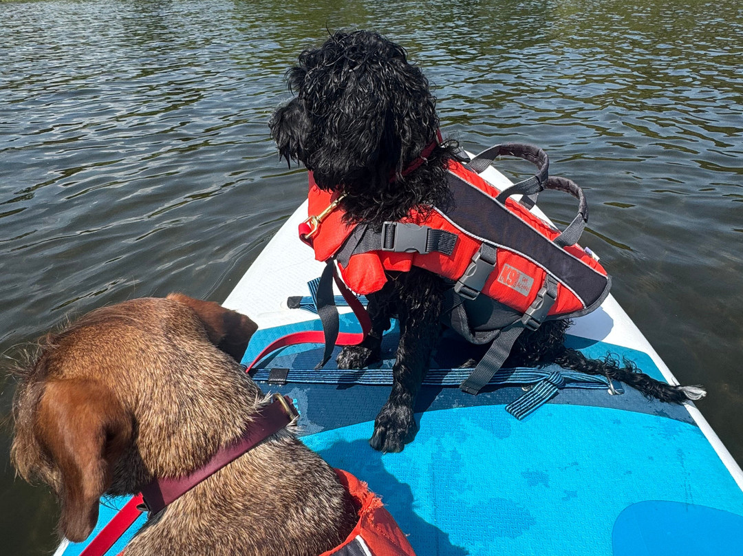 Ullswater Paddleboarding-Tirril必去景点