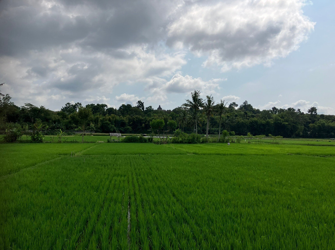 Java Tour Driver / kejawa - Day Tours And Travel Guide-日惹必去景点