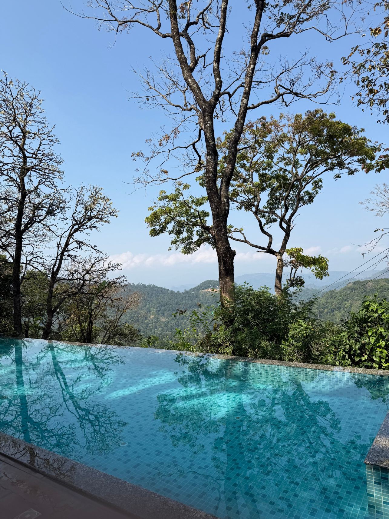慕那尔大象通道度假村-旅行者