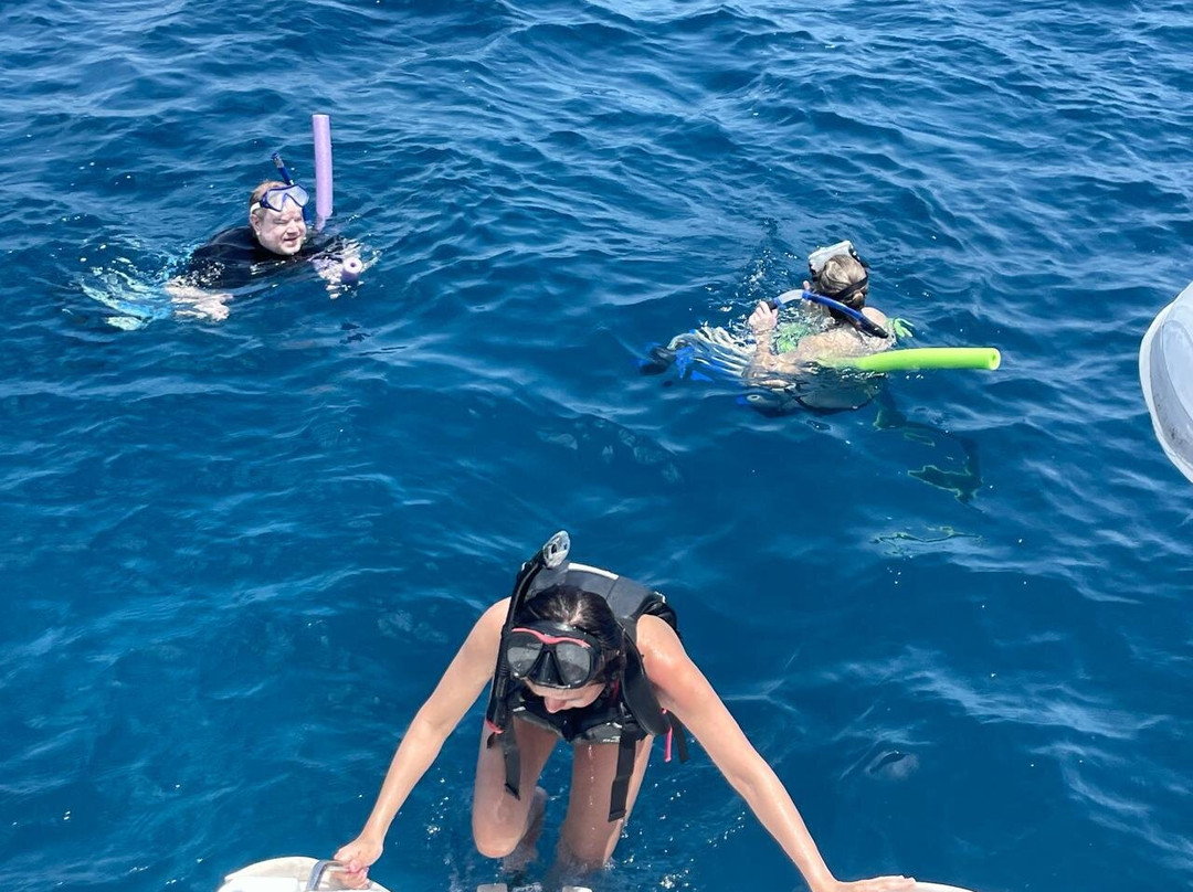 Sail A Day Excursions BVI-托土拉必去景点