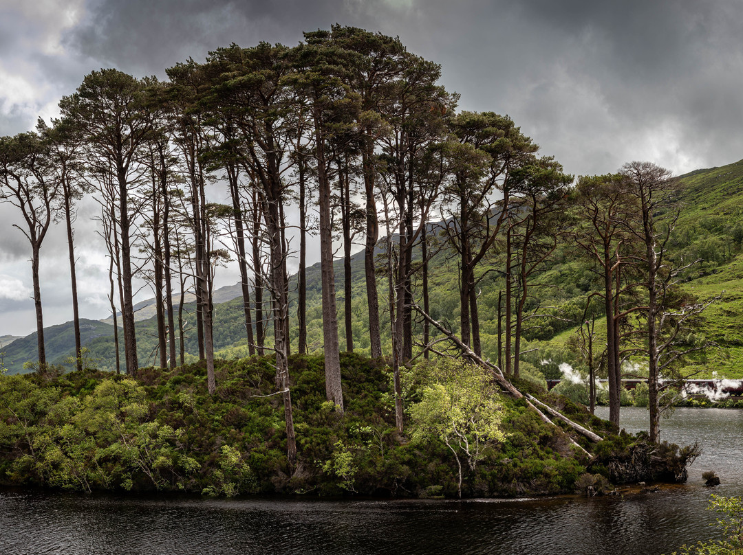 Eilean Na Moine. Dumbledore's Grave-Glenfinnan必去景点