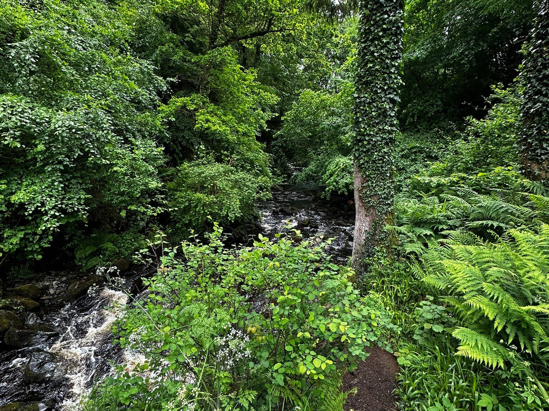 Glenariff Forest Park-County Antrim必去景点