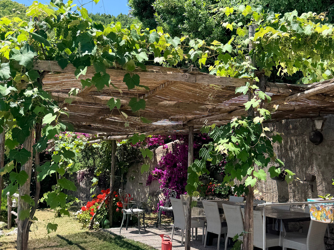 Le Vigne di Raito-Raito必去景点
