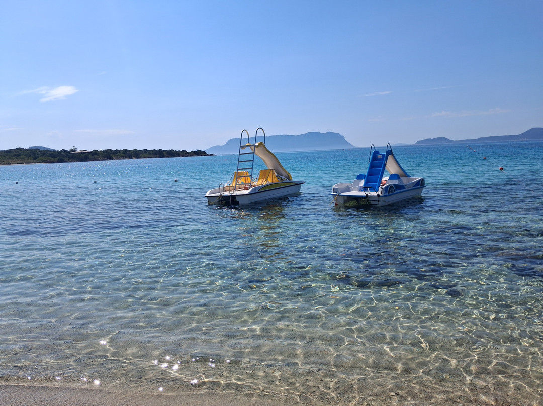 Spiaggia Bianca-Golfo Aranci必去景点