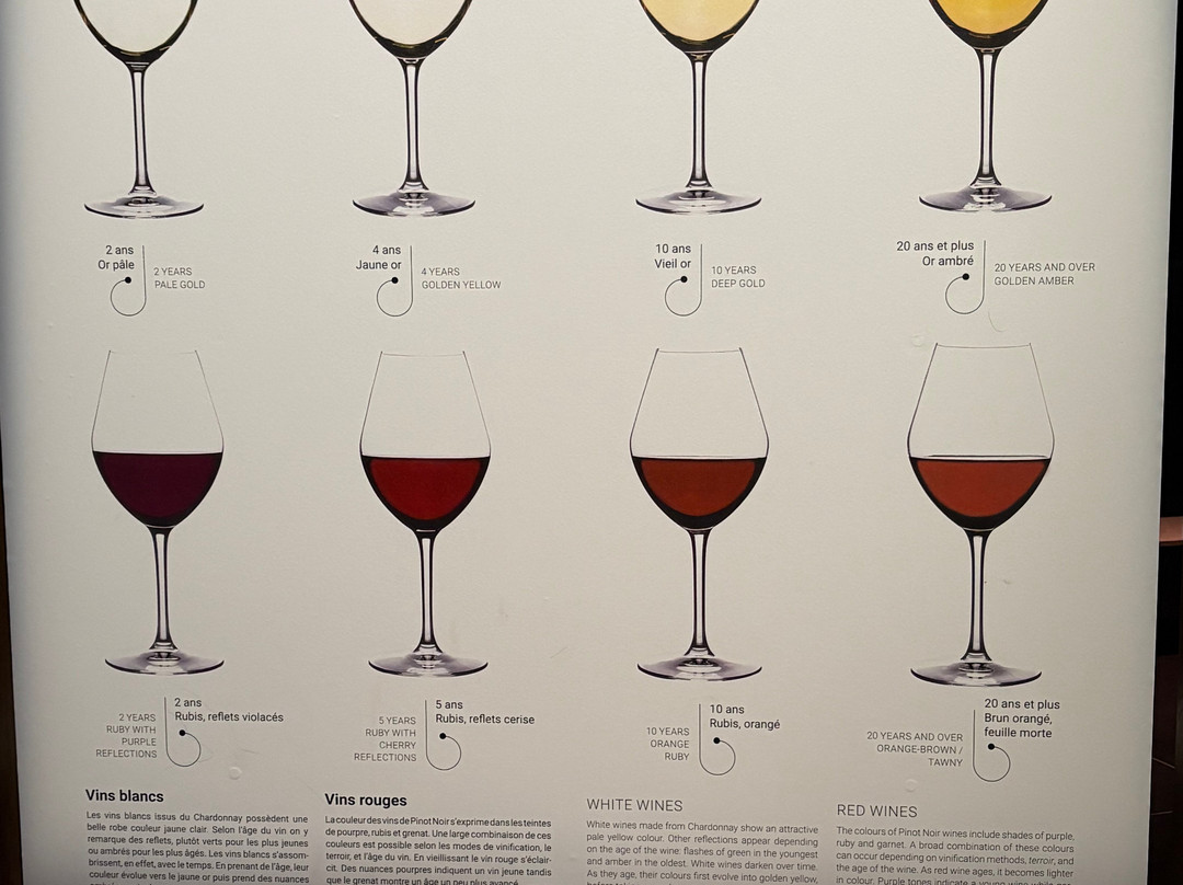 Cité des Climats & vins de Bourgogne-博讷必去景点