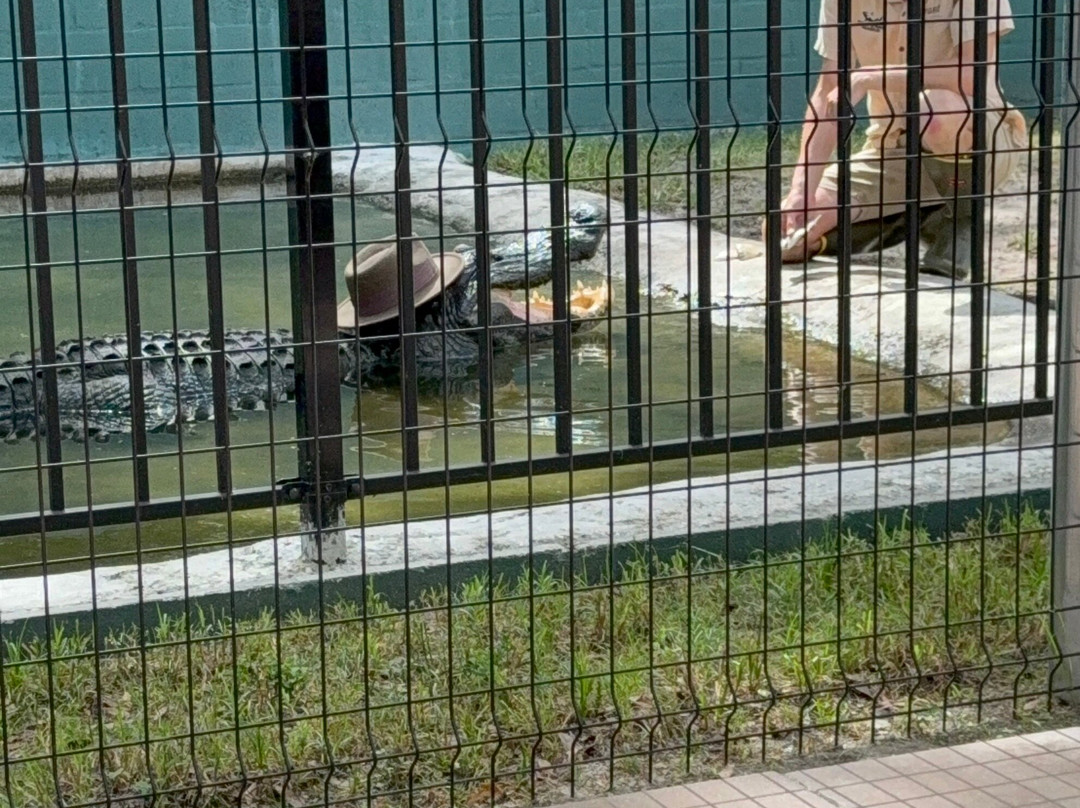 Tarpon Springs Aquarium and Animal Sanctuary-塔彭斯普林斯必去景点