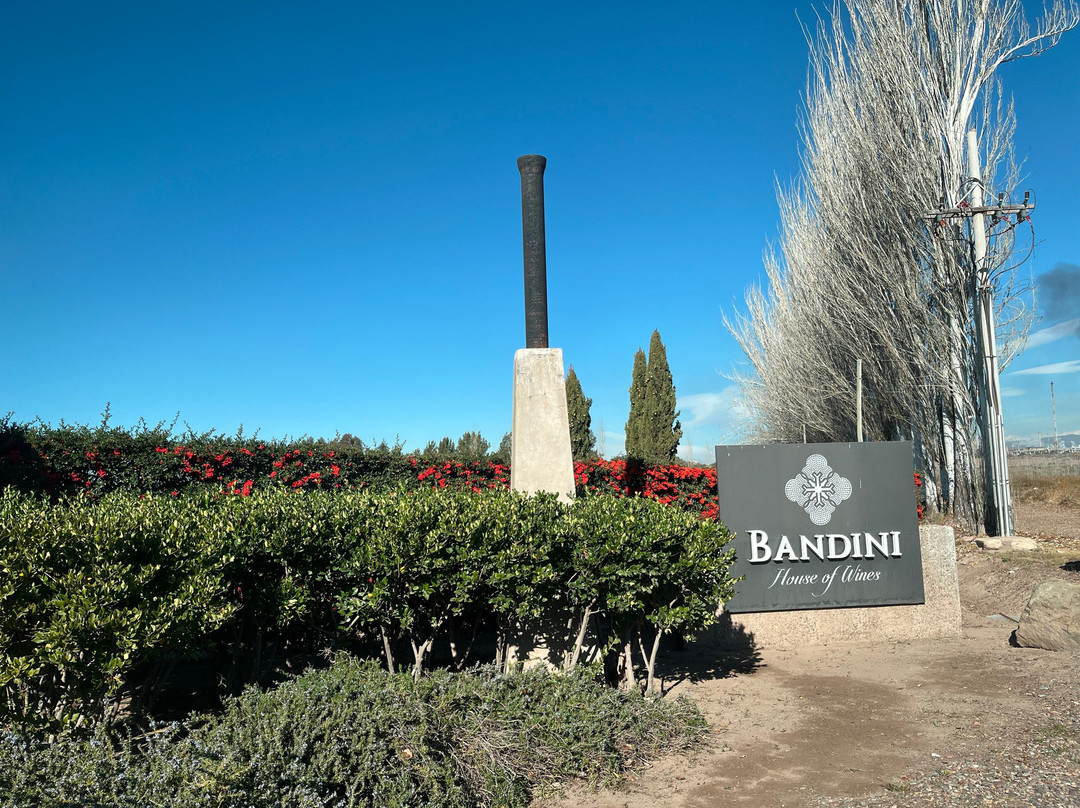 Finca Bandini-路冉得库约必去景点