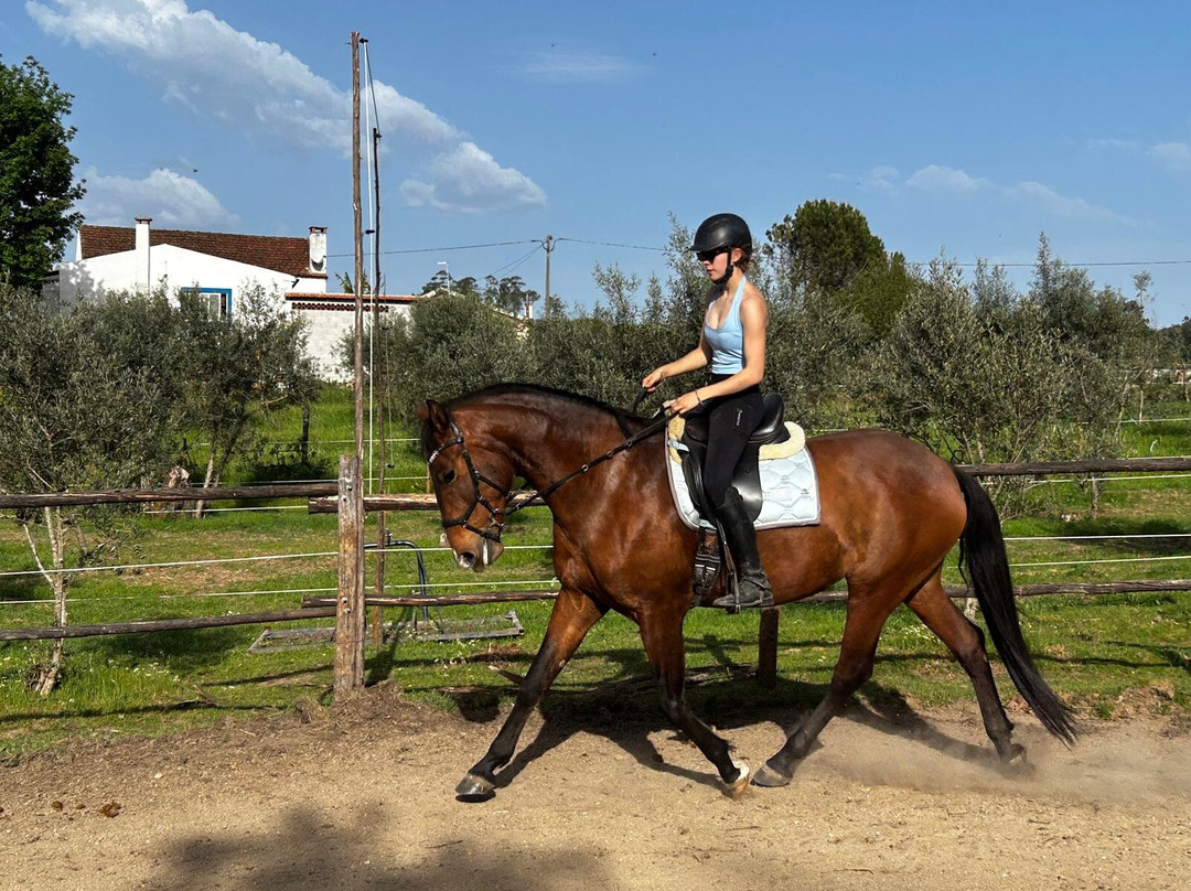 ATV & Horse Tours Central Portugal-Nogueira do Cravo必去景点
