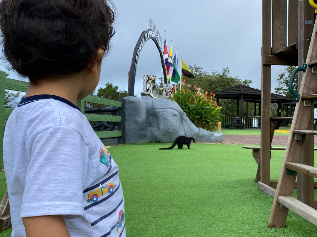 Puentes Colgantes del Arenal-圣卡洛斯必去景点