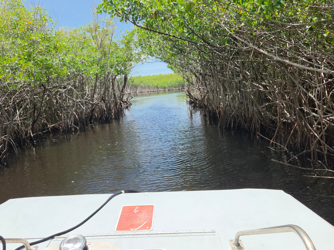 Captain Jack's Airboat Tours-大沼泽地必去景点