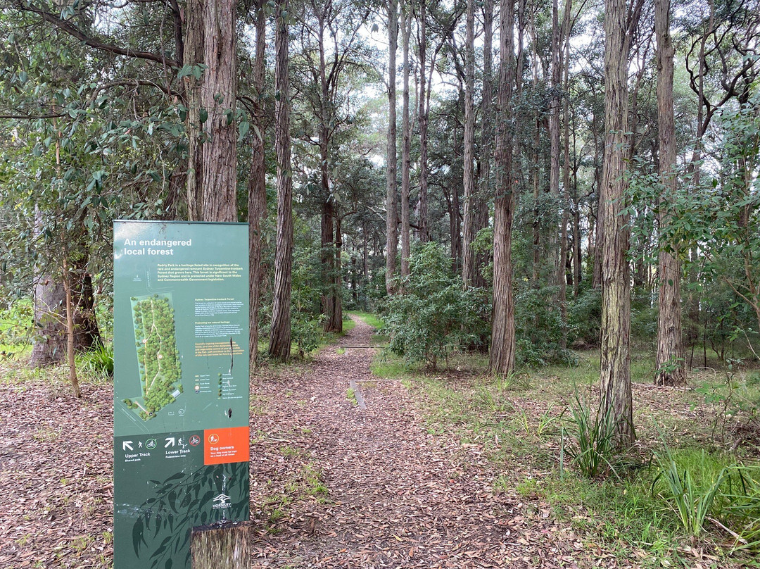 Reddy Park
