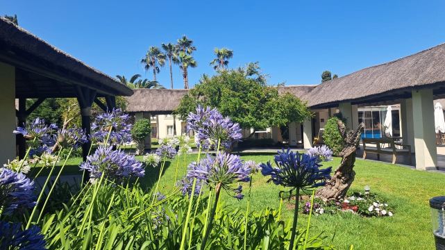高球海岸维基酒店-旅行者