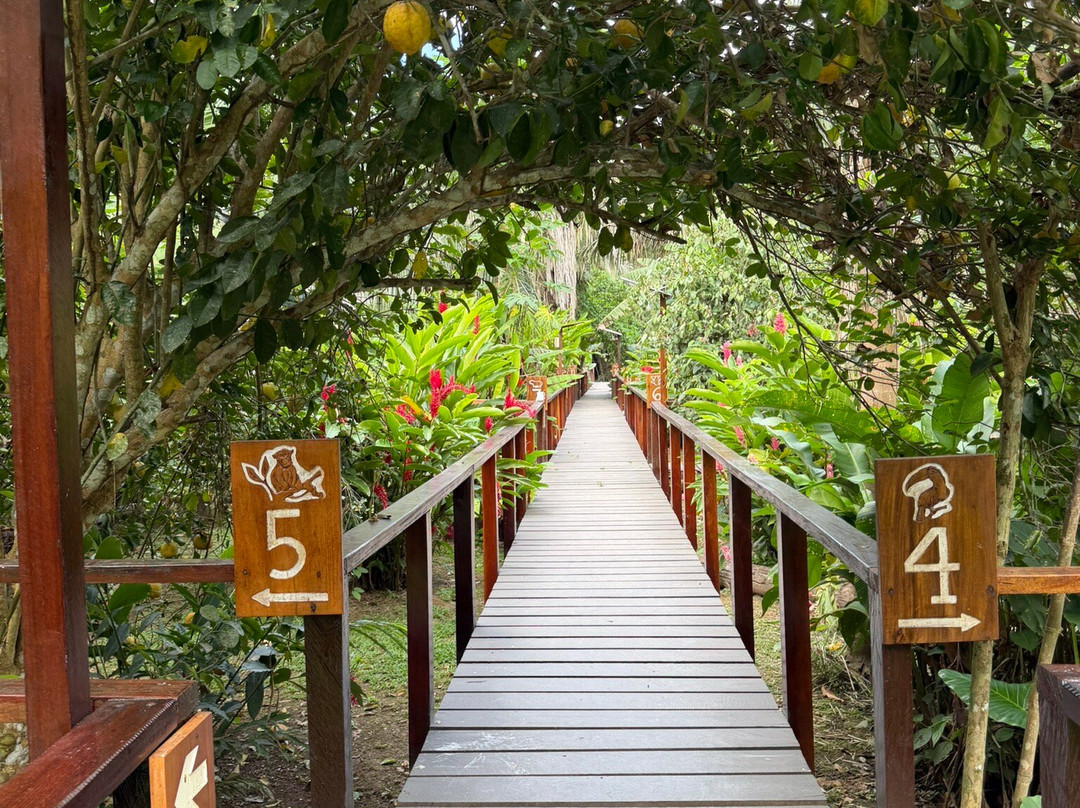 Finca Sachavacayoc lodge主图