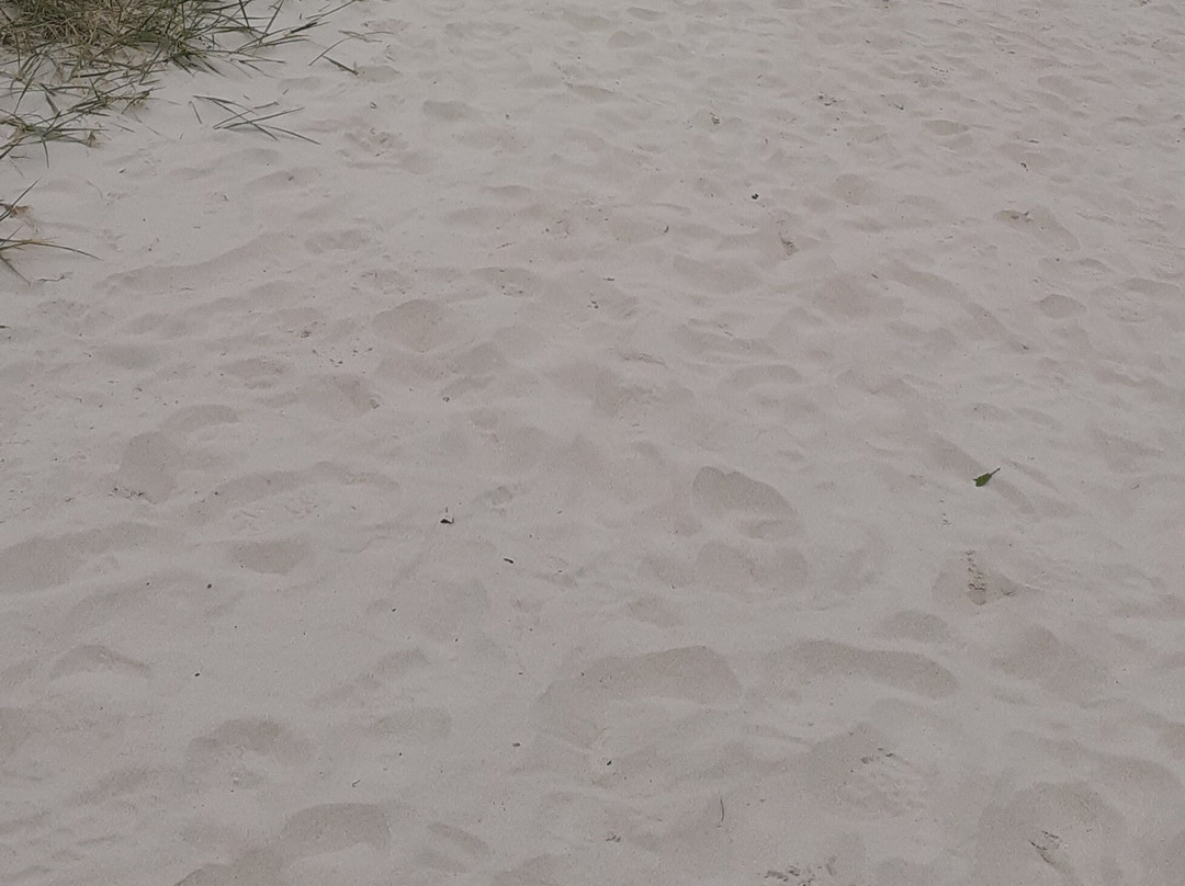 Morar Beach Car Park-Morar必去景点