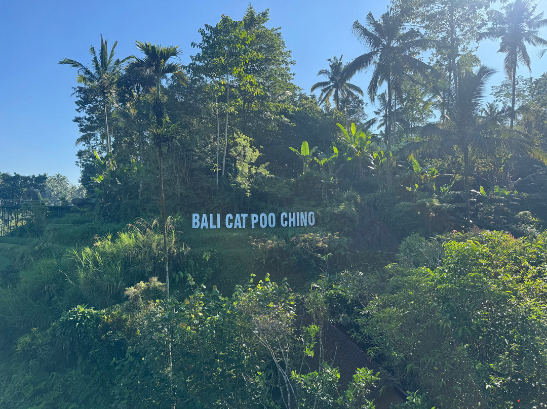 Bali Fun Bike Adventure-Pejeng Kaja必去景点