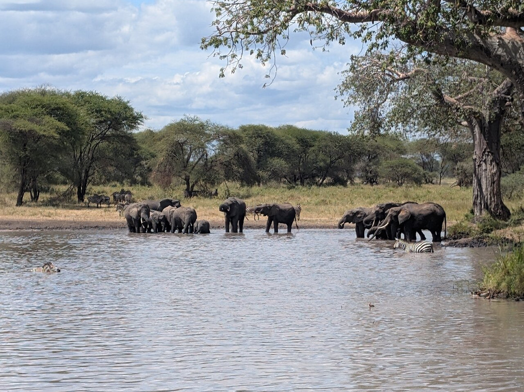 Wild Authentic Tanzania-阿鲁沙必去景点