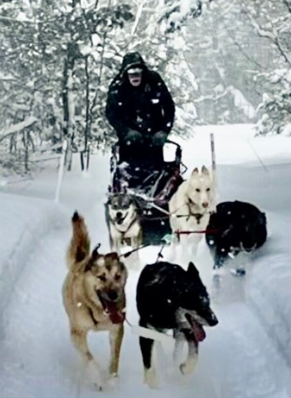 Nature's Kennel Sled Dog Racing and Adventures-McMillan必去景点