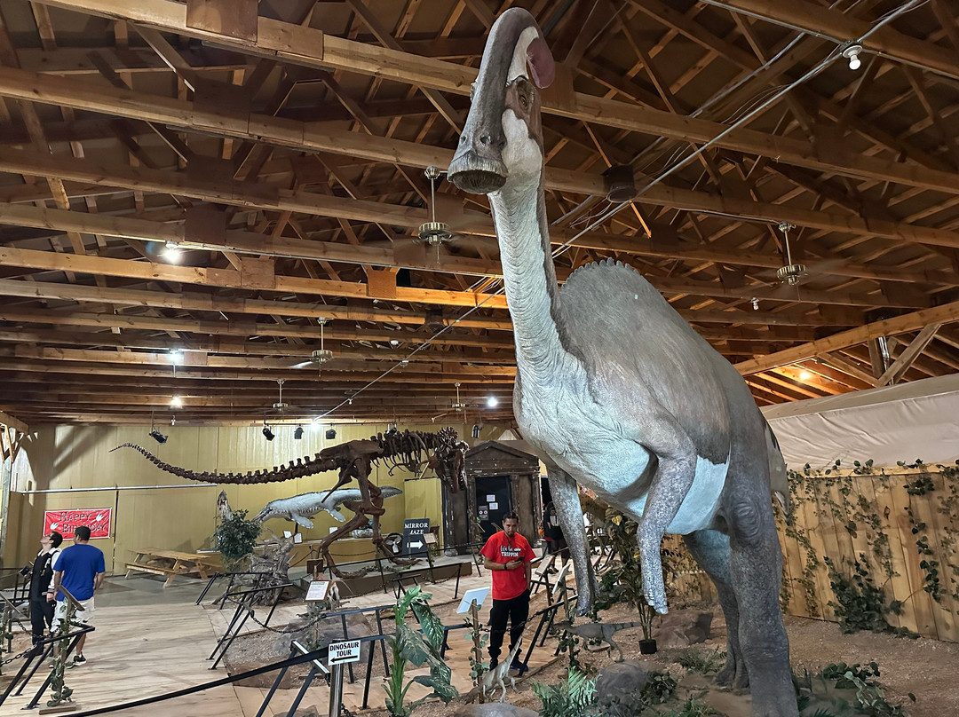 Dinosaur Museum-拉皮德城必去景点