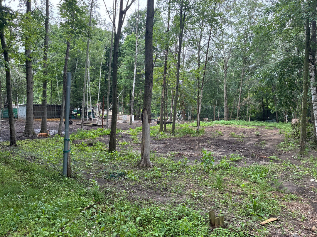 Indian Creek Zoo-Lambertville必去景点