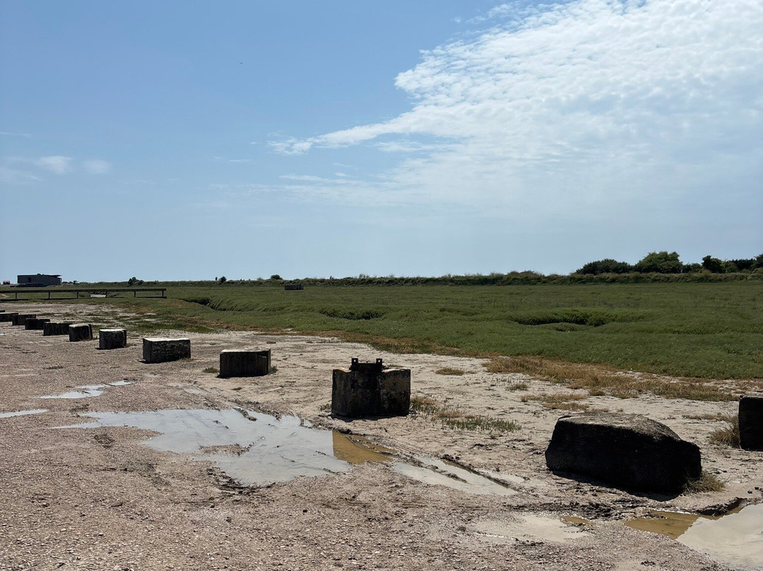 Rye Harbour Nature Reserve-拉伊必去景点
